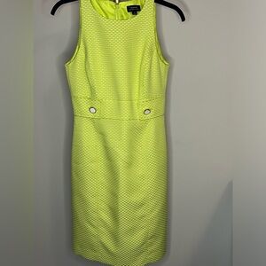 Tahari sz US 4 Shift Dress Lime Green Mini Retro Style/ 17" pit to pit